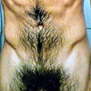 Avatar de Usuario